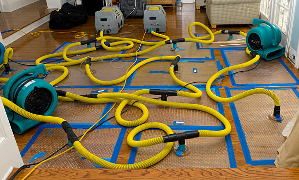 Professional Water Damage Restoration technician working in Montville, NJ